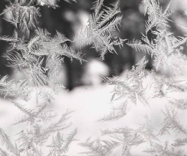 givre1
