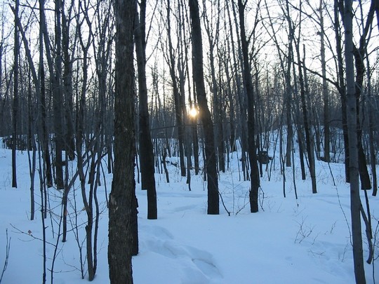 montroyal