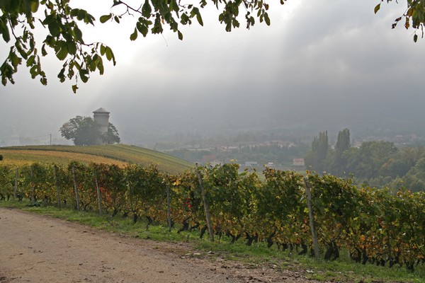 ciel de denise
