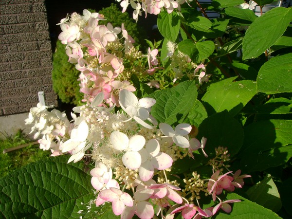 photo-1385.jpg