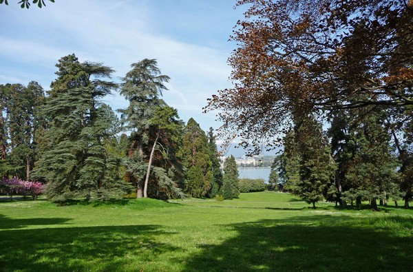 tz5-2704_045.jpg