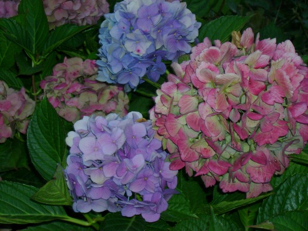 photo-2110.jpg