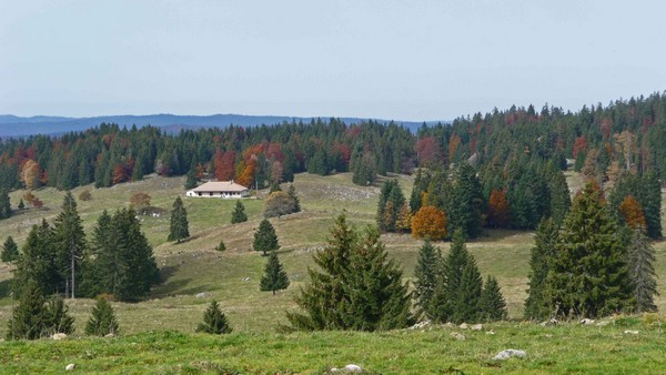 tz5-12102008-46.jpg