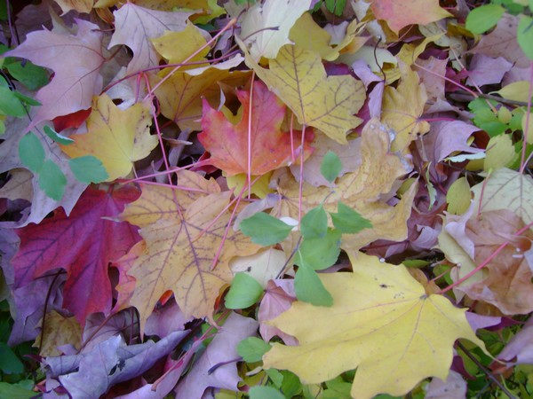photo-3033.jpg