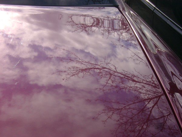 photo-3570.jpg