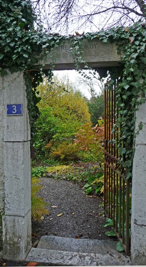 tz5-09112008-14.jpg