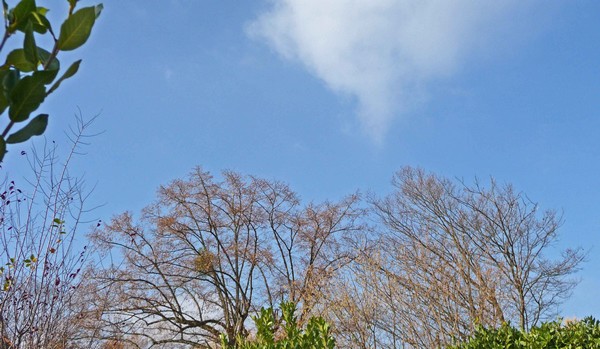 tz5-15112008-10.jpg