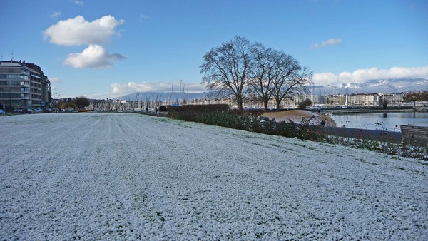 tz5-23112008-098.jpg