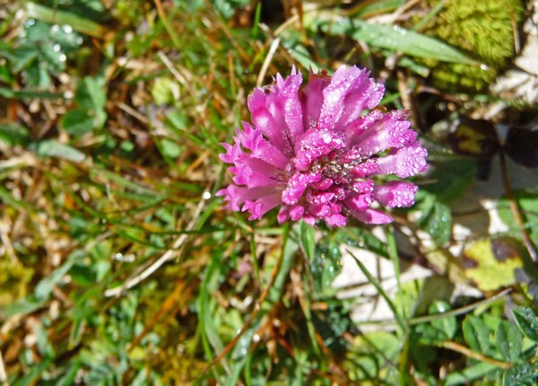 tz5-26102008-16.jpg