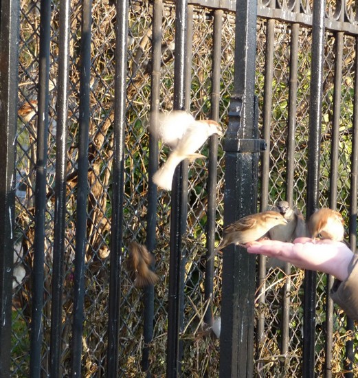 p1000282_3.jpg