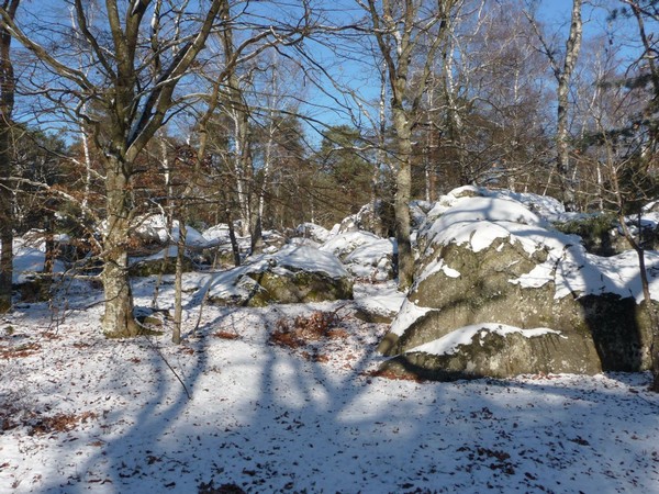 p1000385.jpg