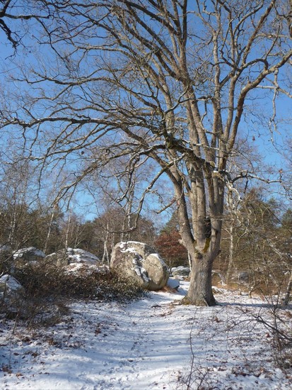 p1000386.jpg