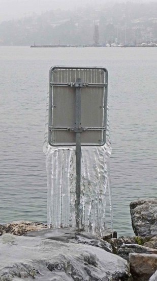 tz5-11012009-26.jpg