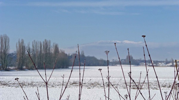 tz5-25012009-084.jpg