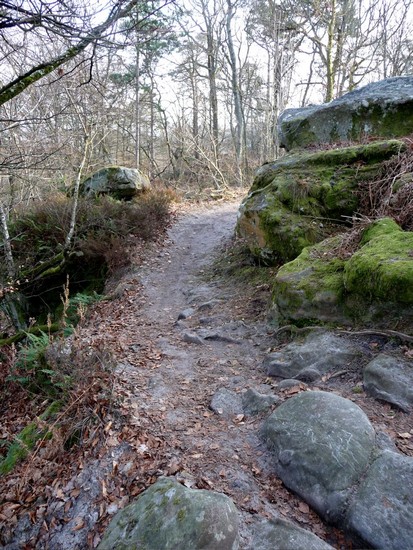 p1000762.jpg