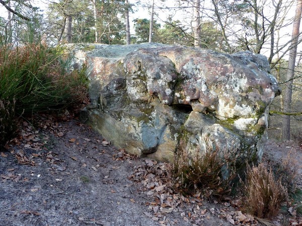 p1000764.jpg