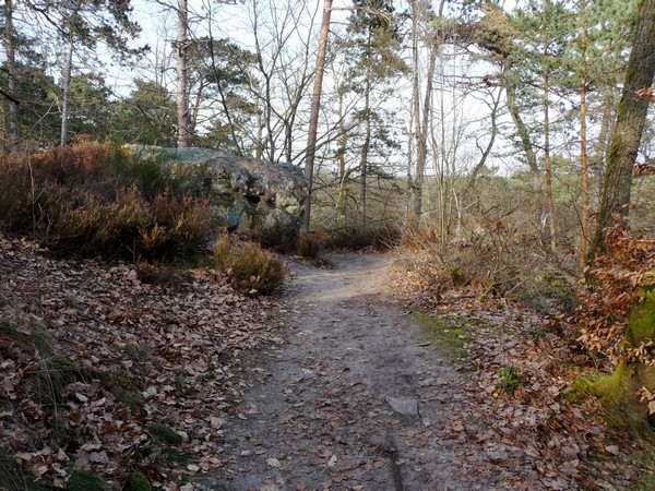 p1000765.jpg
