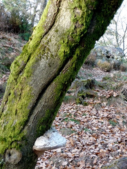 p1000766.jpg