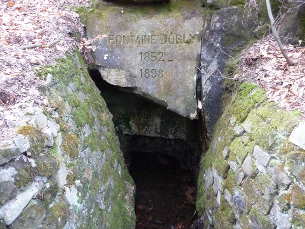 p1000784.jpg