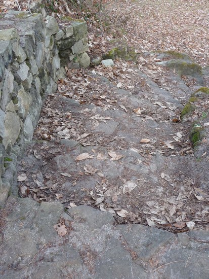 p1000819.jpg