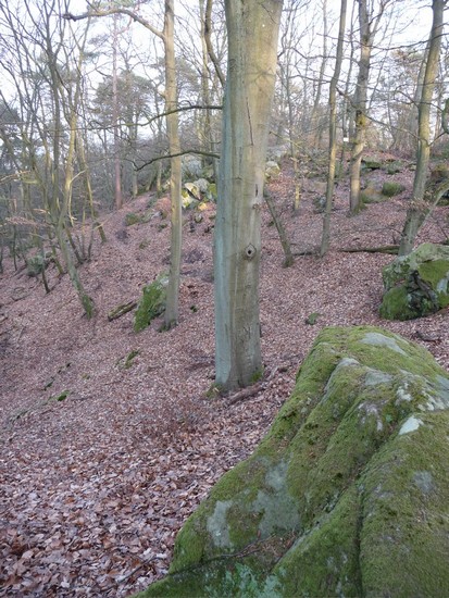 p1000832.jpg