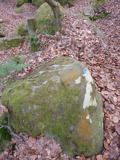 p1000834.jpg