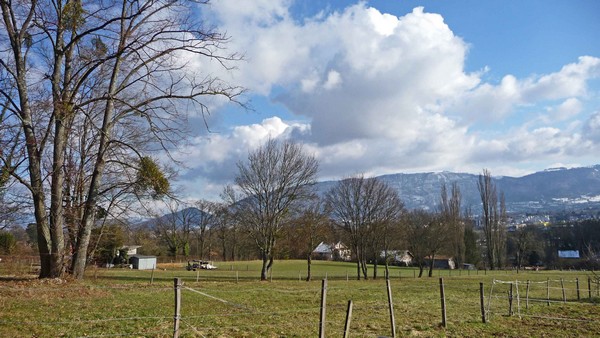 tz5-14022009-28.jpg