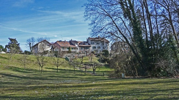 tz5-20022009-26.jpg