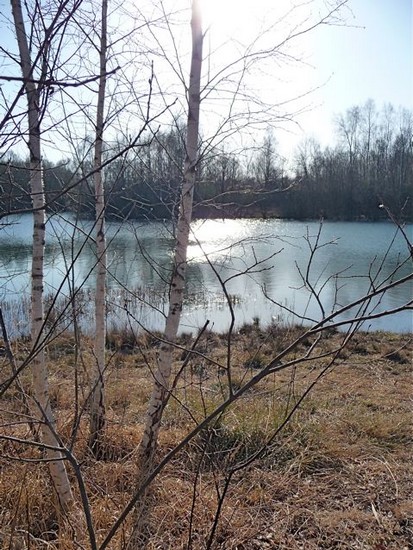 p1010161_3.jpg