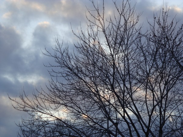 photo-019.jpg