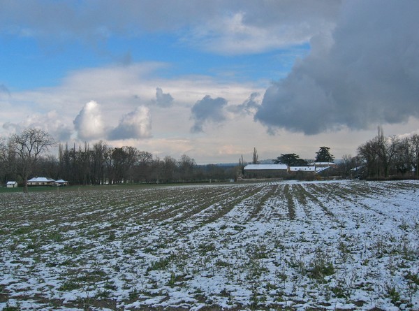 s45-2303-08.jpg