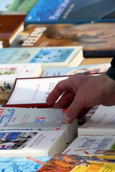 2009-04-05-marche-aux-puces_0012_.jpg