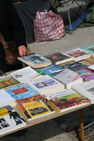 2009-04-05-marche-aux-puces_0014_.jpg