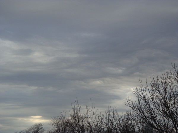 photo-315.jpg