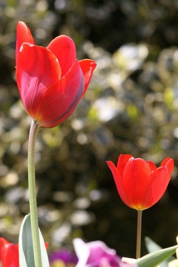 jeune-couple-img_0218.jpg