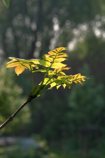 la-tendresse-du-soleil-img_0109.jpg