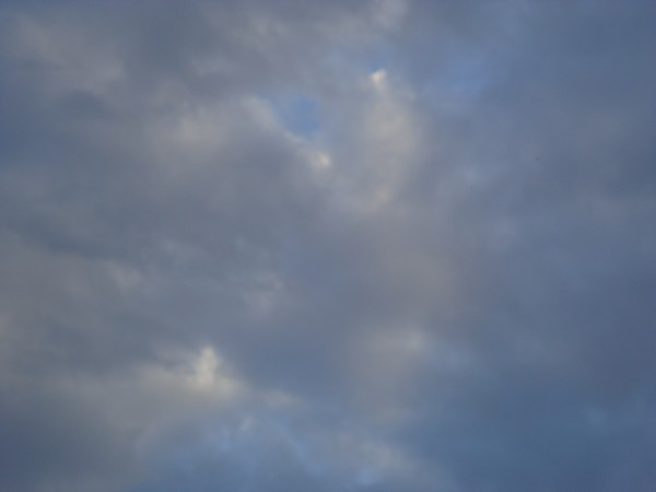 photo-471.jpg