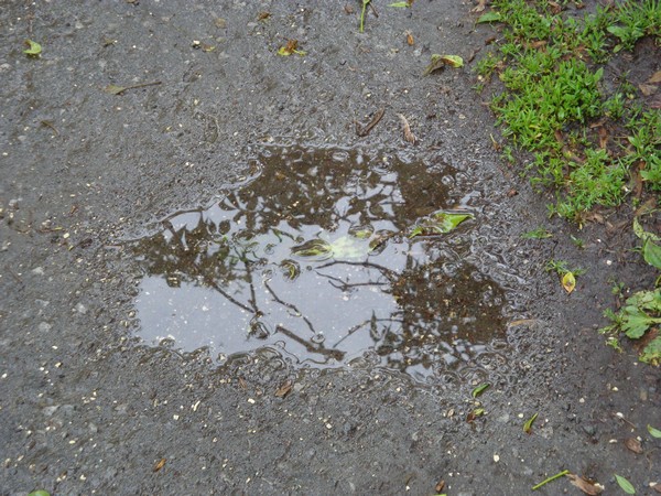 photo-1113.jpg