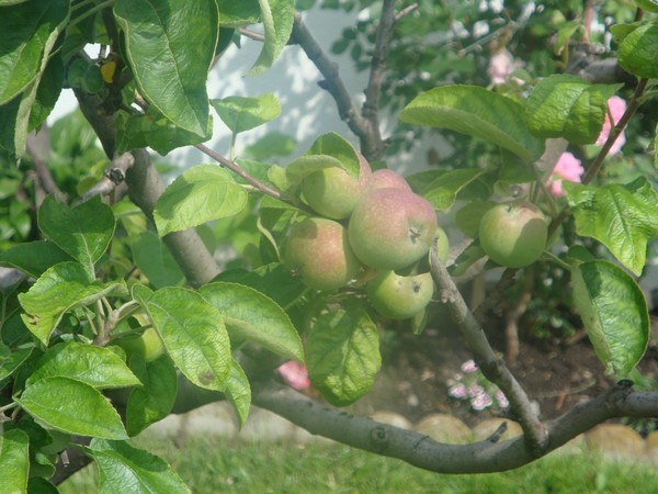 photo-1656.jpg