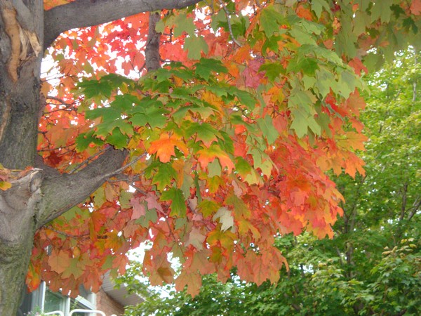 photo-3193.jpg