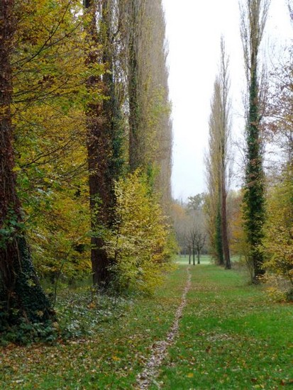 p1060354_2.jpg