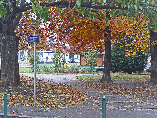 tz5-15112009-116_l.jpg