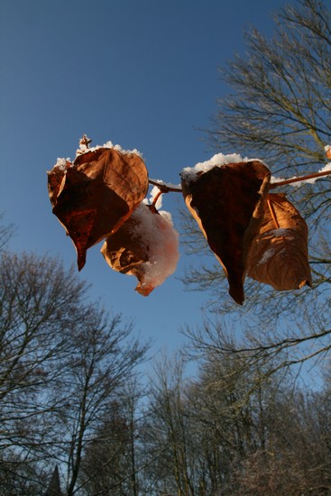 cadeau-forlali-blog-img_0165.jpg