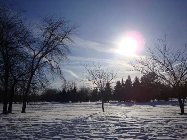 photo-021_parcmaisonneuve.jpg