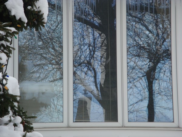 photo-605z.jpg