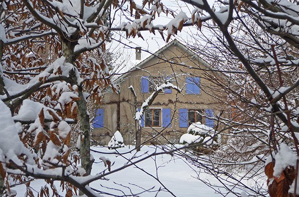 tz5-20100110-88_l.jpg