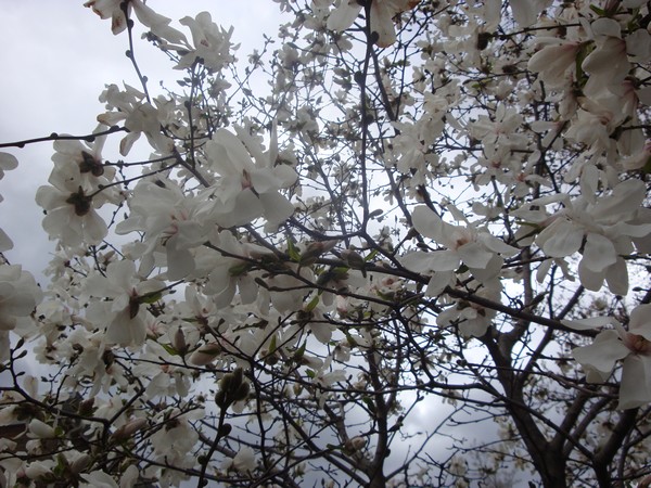photo-263_pr.jpg