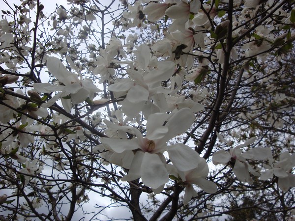 photo-265_pr.jpg