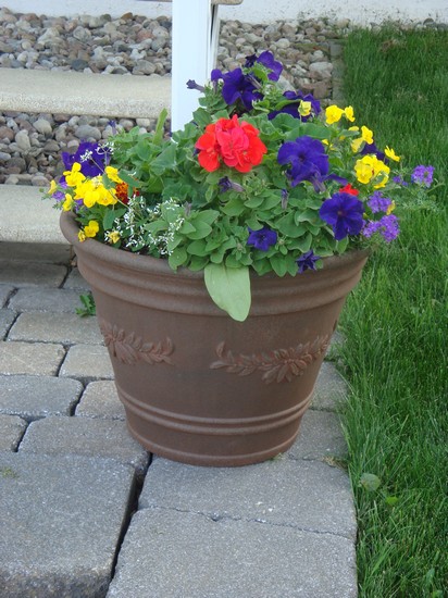 photo-004_pot.jpg