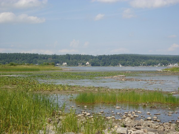 photo-100_hudson.jpg